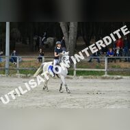 PR2_2077_Gramont