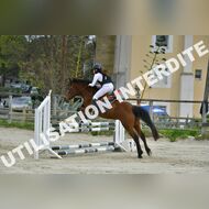 PR2_2085_Gramont
