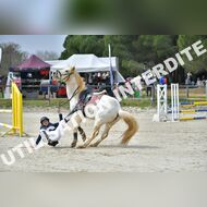 PR2_1168_Gramont