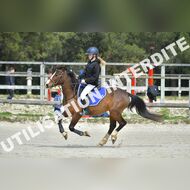 PR2_1174_Gramont