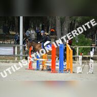 PR2_1175_Gramont