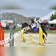 PR2_1176_Gramont