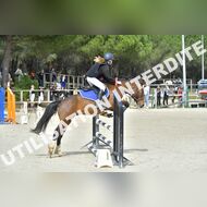 PR2_1178_Gramont