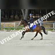 PR2_1181_Gramont
