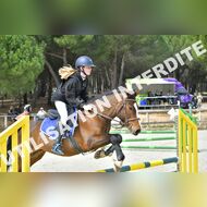 PR2_1184_Gramont