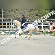 PR2_1186_Gramont