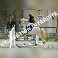 PR2_1193_Gramont