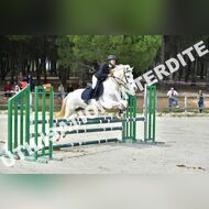 PR2_1198_Gramont