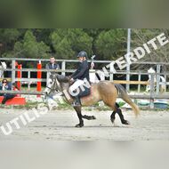 PR2_1202_Gramont