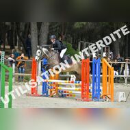 PR2_1203_Gramont
