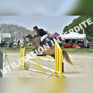 PR2_1204_Gramont