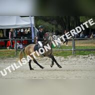 PR2_1205_Gramont