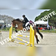 PR2_1222_Gramont