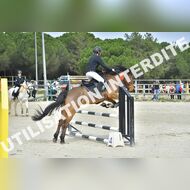 PR2_1224_Gramont