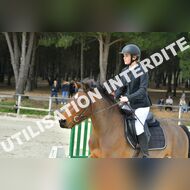 PR2_1227_Gramont