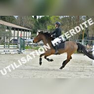 PR2_1228_Gramont
