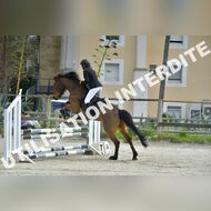 PR2_1229_Gramont
