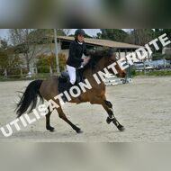 PR2_1235_Gramont