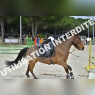 PR2_1237_Gramont