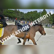 PR2_1239_Gramont