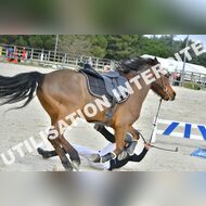 PR2_1240_Gramont