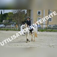 PR2_1241_Gramont