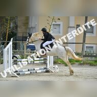PR2_1249_Gramont