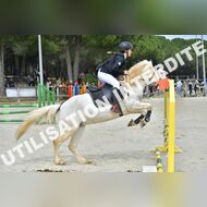 PR2_1252_Gramont