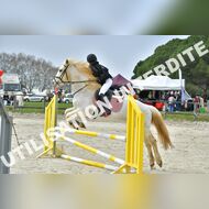 PR2_1258_Gramont