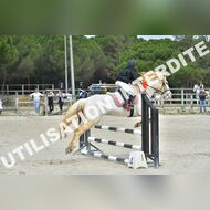 PR2_1260_Gramont