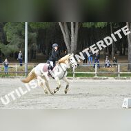 PR2_1266_Gramont