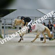 PR2_1269_Gramont