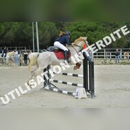 PR2_1275_Gramont