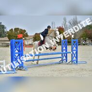 PR2_1280_Gramont