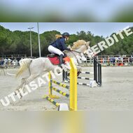 PR2_1282_Gramont