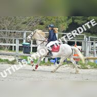 PR2_1284_Gramont