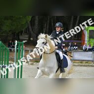 PR2_1295_Gramont