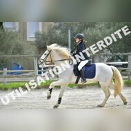 PR2_1296_Gramont