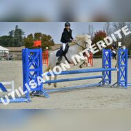 PR2_1299_Gramont