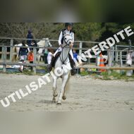 PR2_1317_Gramont