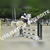 PR2_1323_Gramont