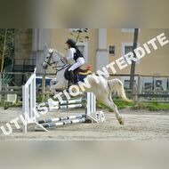 PR2_1327_Gramont