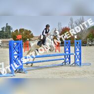 PR2_1328_Gramont