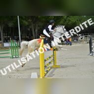 PR2_1331_Gramont