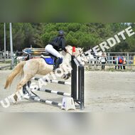 PR2_1338_Gramont