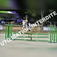 PR2_1339_Gramont