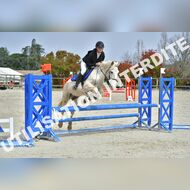 PR2_1344_Gramont