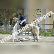 PR2_1355_Gramont