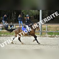 PR2_1363_Gramont