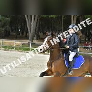 PR2_1367_Gramont